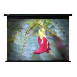 Liberty Screen Pro  Jampo 150" 16:9 ALR Motorised Tab-Tensioned Screen for (UST) Ultra Throw Projector - AJ